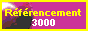 référencement 3000